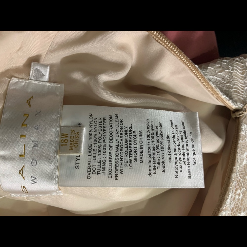 Galina Champagne Lace Wedding Dress size 18W - Picture 4 of 10